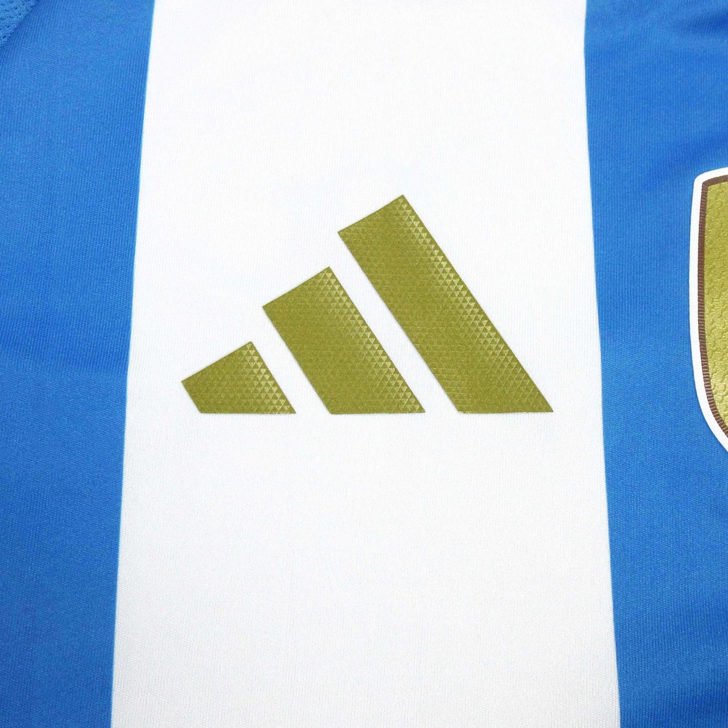 Argentina Home Shirt 2024